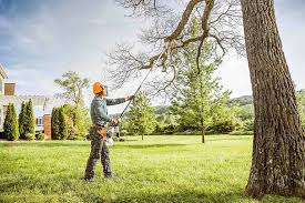 How Our Tree Care Process Works  in  West Jefferson, OH