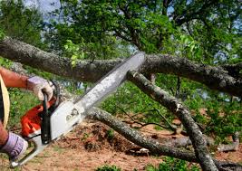 Reliable West Jefferson, OH  Tree Services Solutions